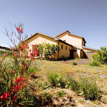 Agriturismo Bio Podere 109 - Wine&Food อัลเบเรเซ ภายนอก รูปภาพ