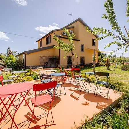Agriturismo Bio Podere 109 - Wine&Food อัลเบเรเซ ภายนอก รูปภาพ