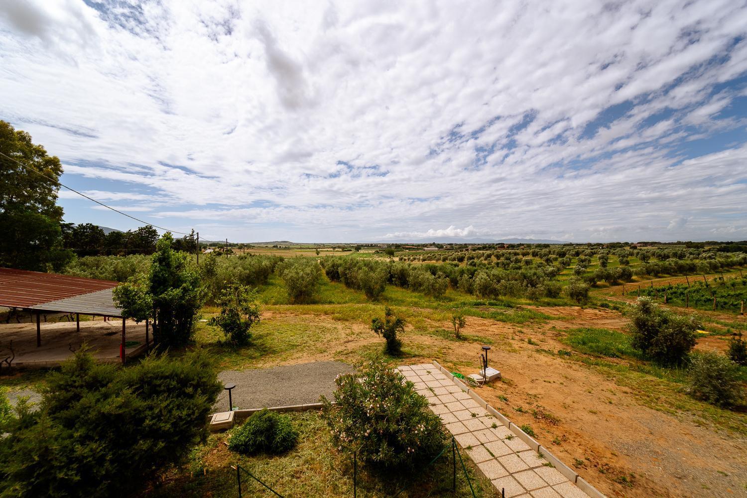 Agriturismo Bio Podere 109 - Wine&Food อัลเบเรเซ ภายนอก รูปภาพ