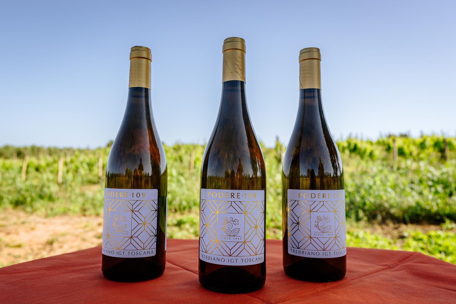 Agriturismo Bio Podere 109 - Wine&Food อัลเบเรเซ ภายนอก รูปภาพ